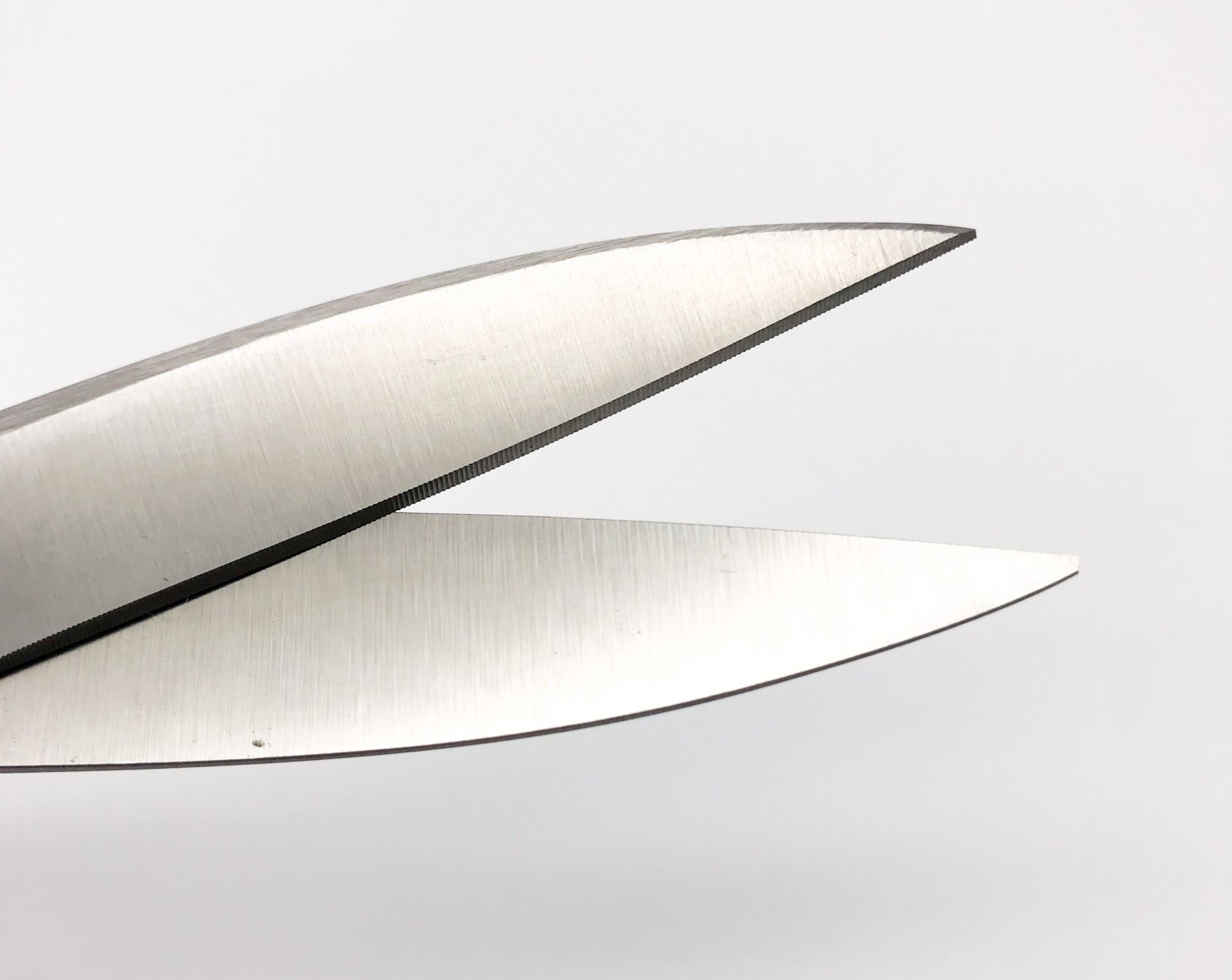 ROBUSO-PROTON Trimming shears, coated 1024/S/10"