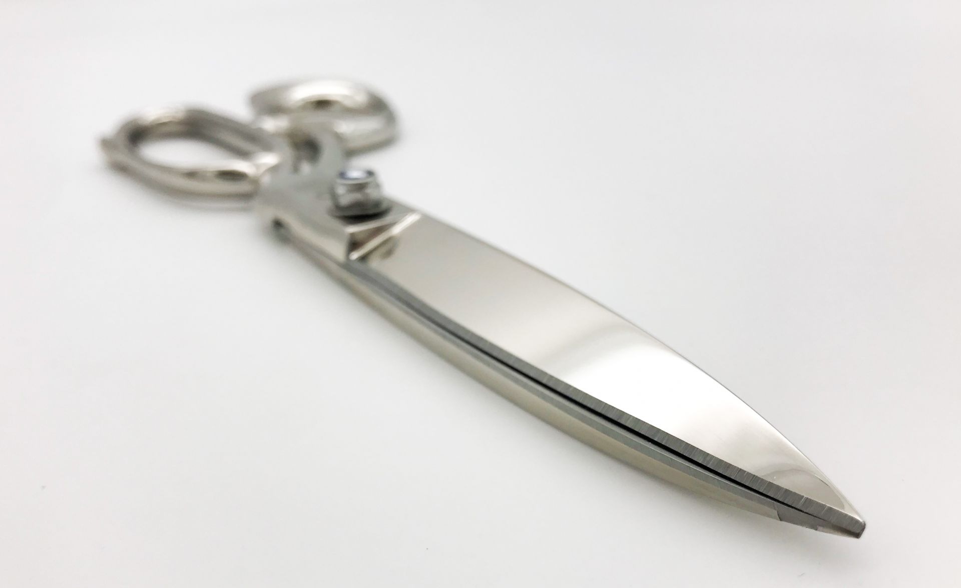 ROBUSO-PROTON Trimming shears, coated 1024/S/10"